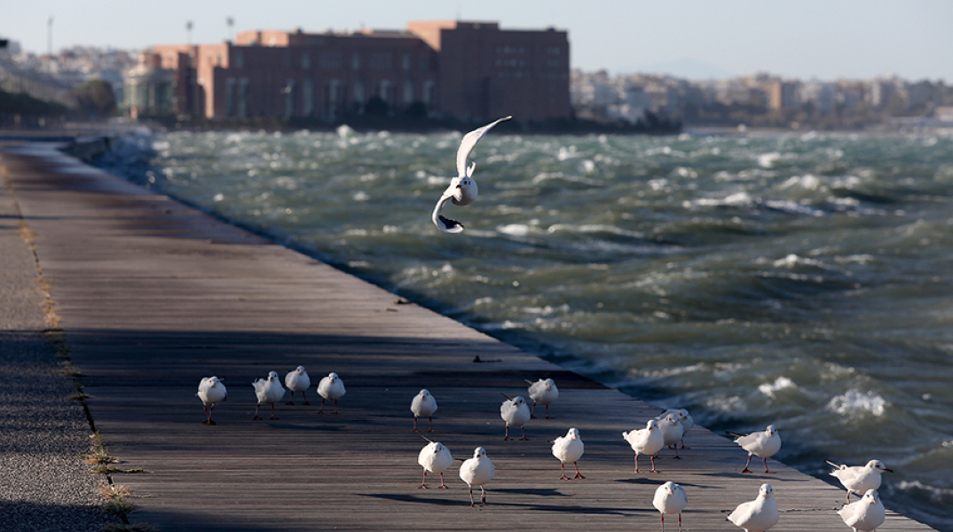 Θεσσαλονίκη, Θερμαϊκός