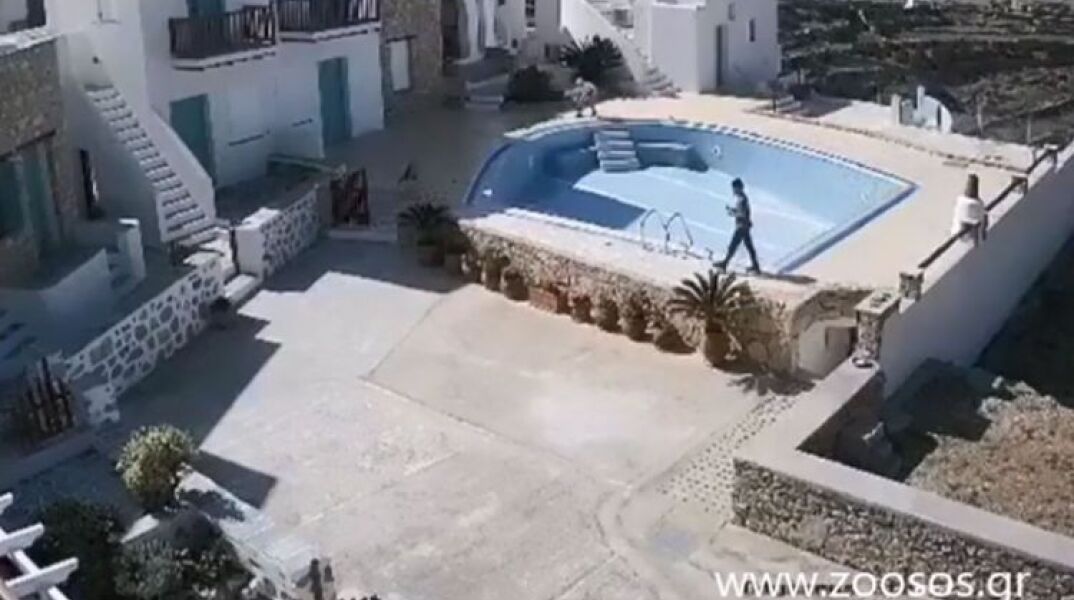 Δύο αγόρια καταδιώκουν γάτα σε αύλειο χώρο ξενοδοχείου στη Φολέγανδρο