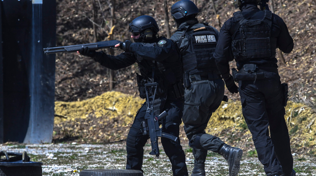 Αστυνομικές δυνάμεις Αλβανίας