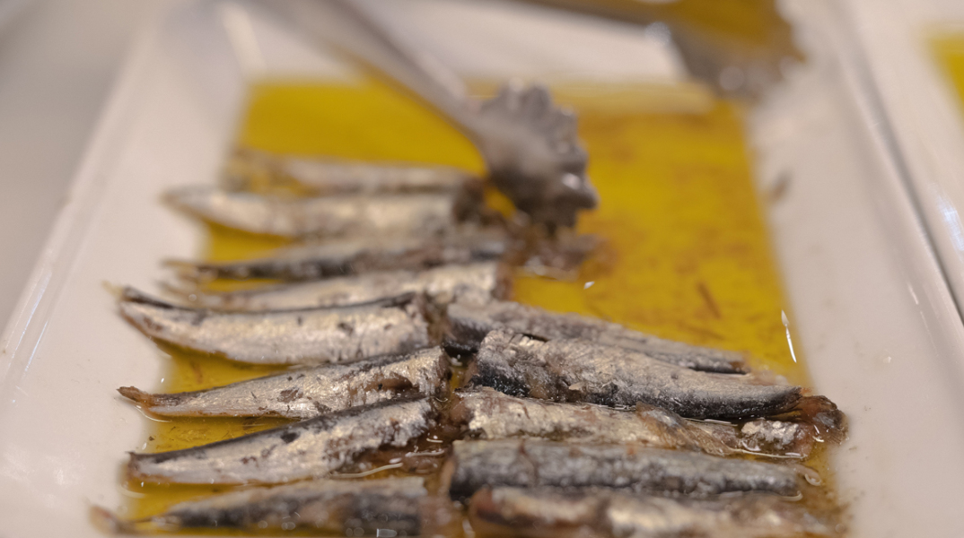sardine.jpg