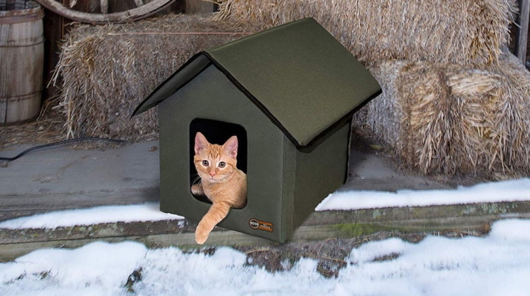 cat_house_1_.jpg