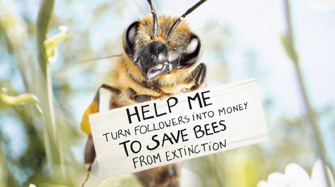 the-worlds-first-influential-bee-is-an-activist-for-the-preservation-of-its-species-5db7e48d50534_880.jpg