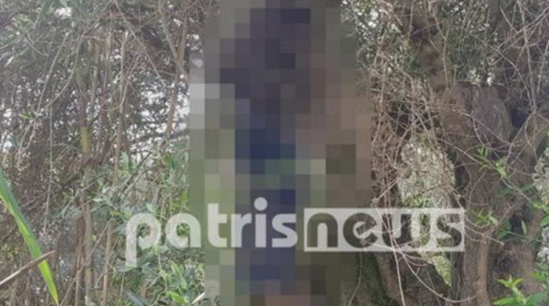 Άνδρας βρέθηκε κρεμασμένος σε δέντρο στον Πύργο
