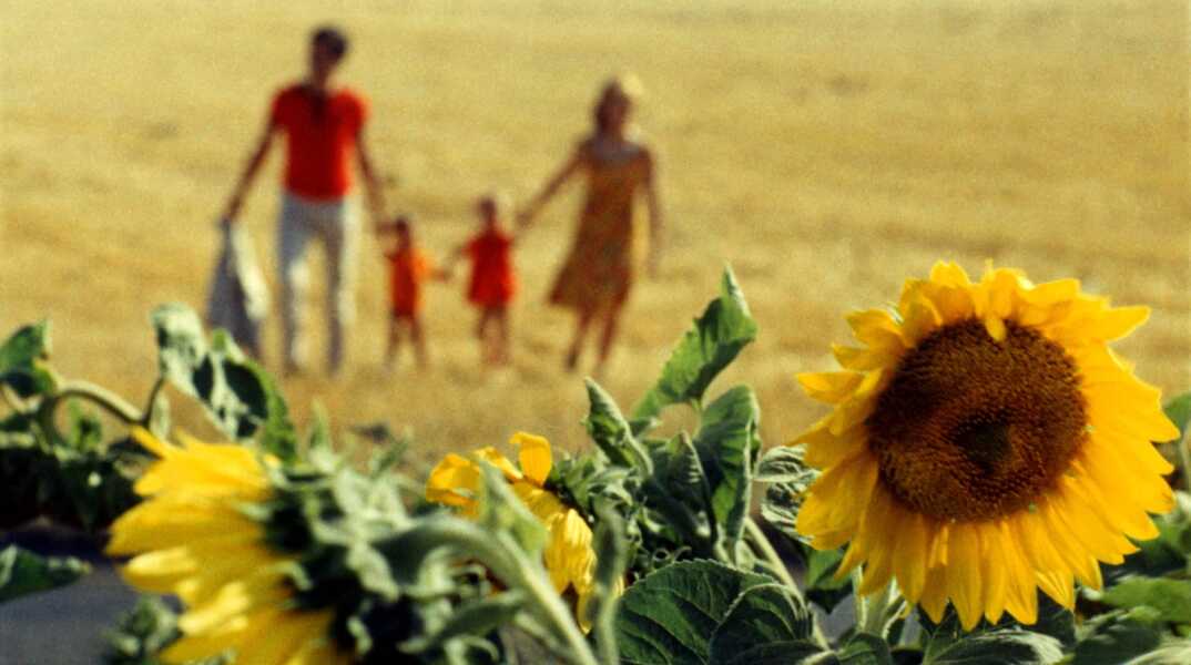 Από την ταινία "Le bonheur" της Agnes Varda
