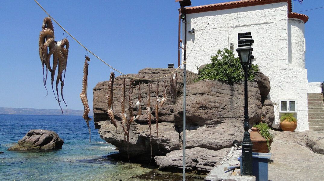 Λέσβος ©Ανδρόμαχος Δημητροκάλλης