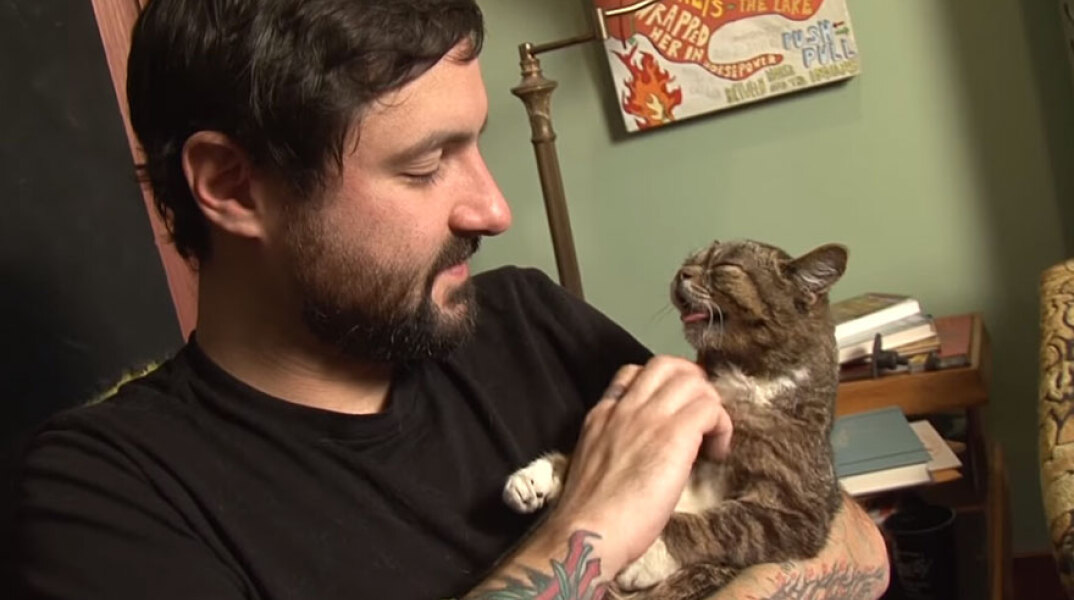 lil-bub1