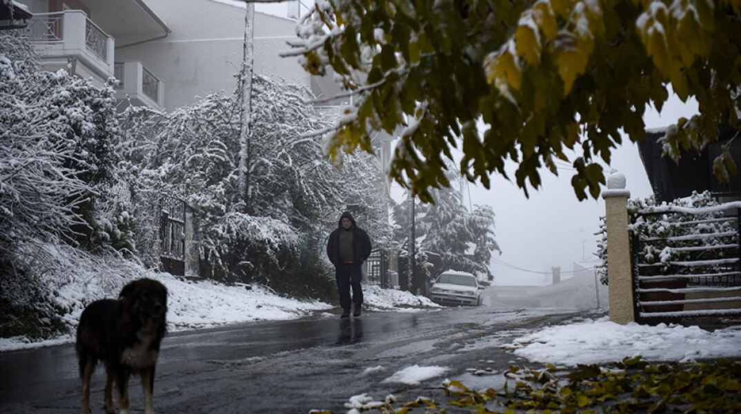 xionia-thessaloniki3