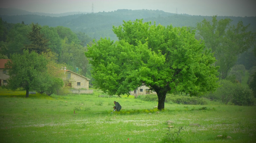 Ένη Κούκουλα «Κρυφός κήπος», Βιβλιοπωλείο – Αίθουσα Τέχνης Φωταγωγός