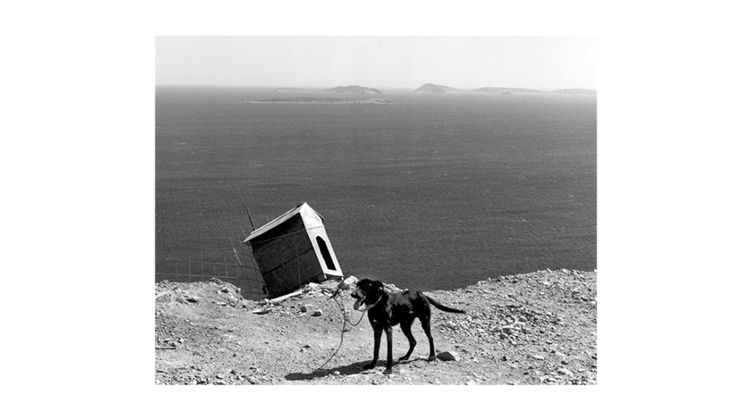 Νέες αφίξεις