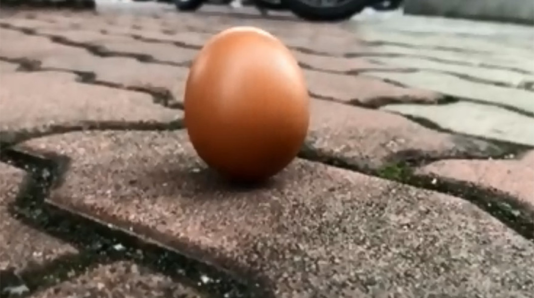 egg.jpg
