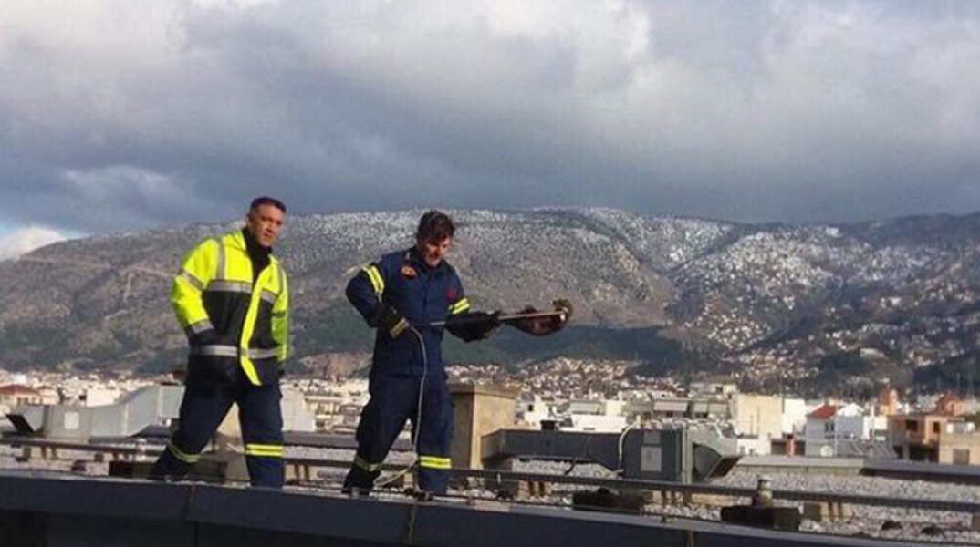 Νυφίτσα σε νοσοκομείο του Βόλου 