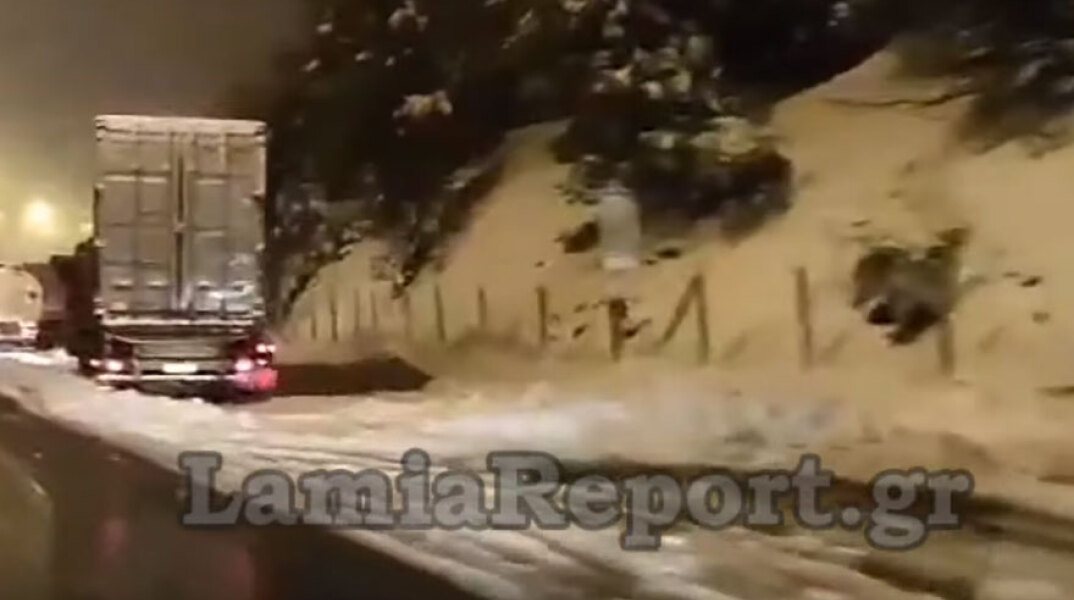 Δίπλωσαν νταλίκες στην Αθηνών - Λαμίας εν μέσω χιονιά