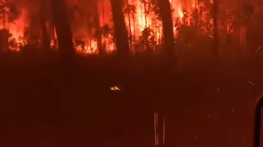 fires-australia