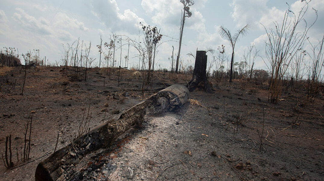 Πυρκαγιές και αποψίλωση στον Αμαζόνιο