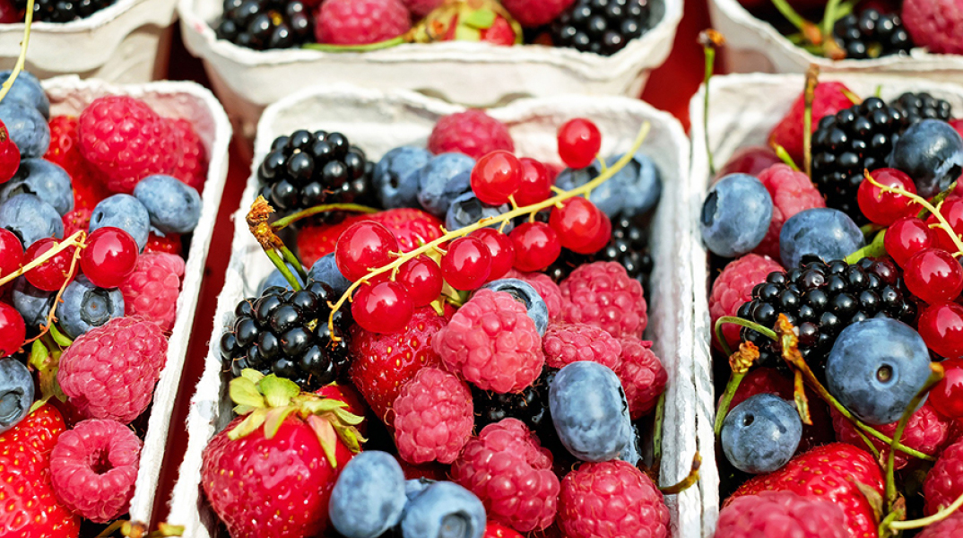 berries-1546125_1920.jpg