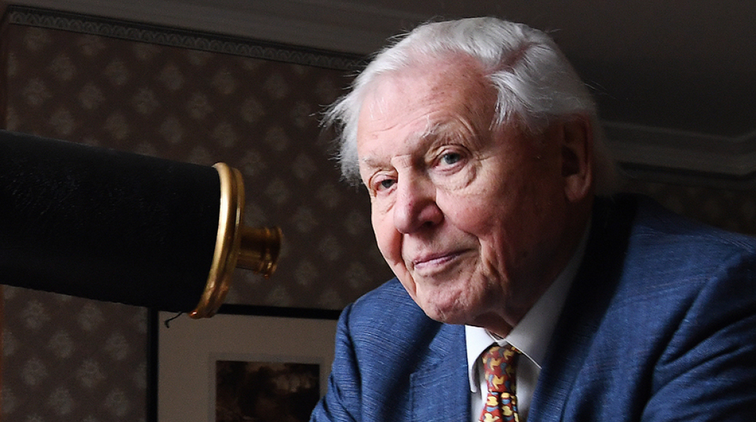 Σερ Ντέιβιντ Ατένμπορο