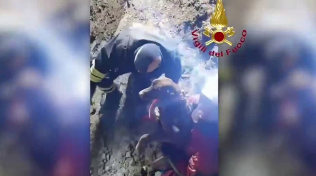Ιταλία: Η συγκινητική στιγμή που διασώστες απεγκλωβίζουν δύο σκυλιά σε παλιό λατομείο - Έμειναν παγιδευμένα για περισσότερες από 30 ώρες