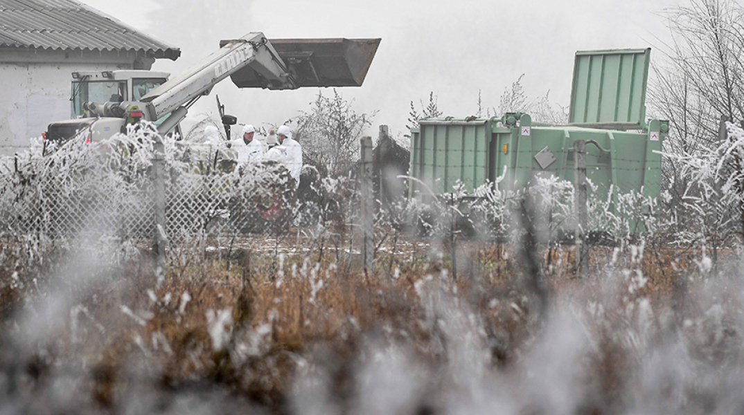 Έλεγχοι για την γρίπη των πτηνών στην Ουγγαρία