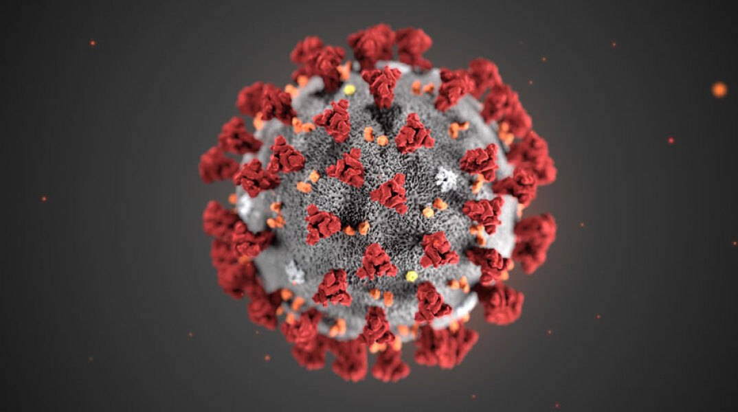 coronavirus.jpg