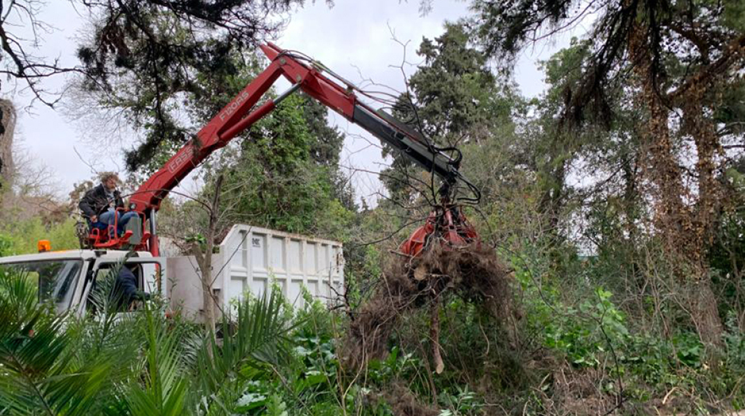 Βοτανικός Κήπος