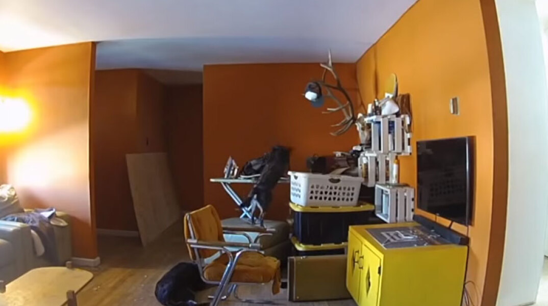 ΗΠΑ: Σκύλος ξεκινά πυρκαγιά σε κατοικία