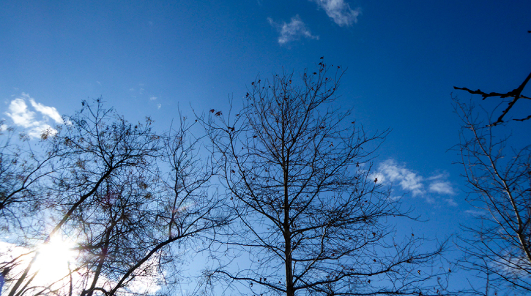 Ηλιοφάνεια