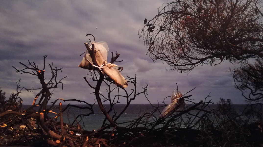 Μάτι - Οδοιπορικό - 1,5 χρόνο μετά