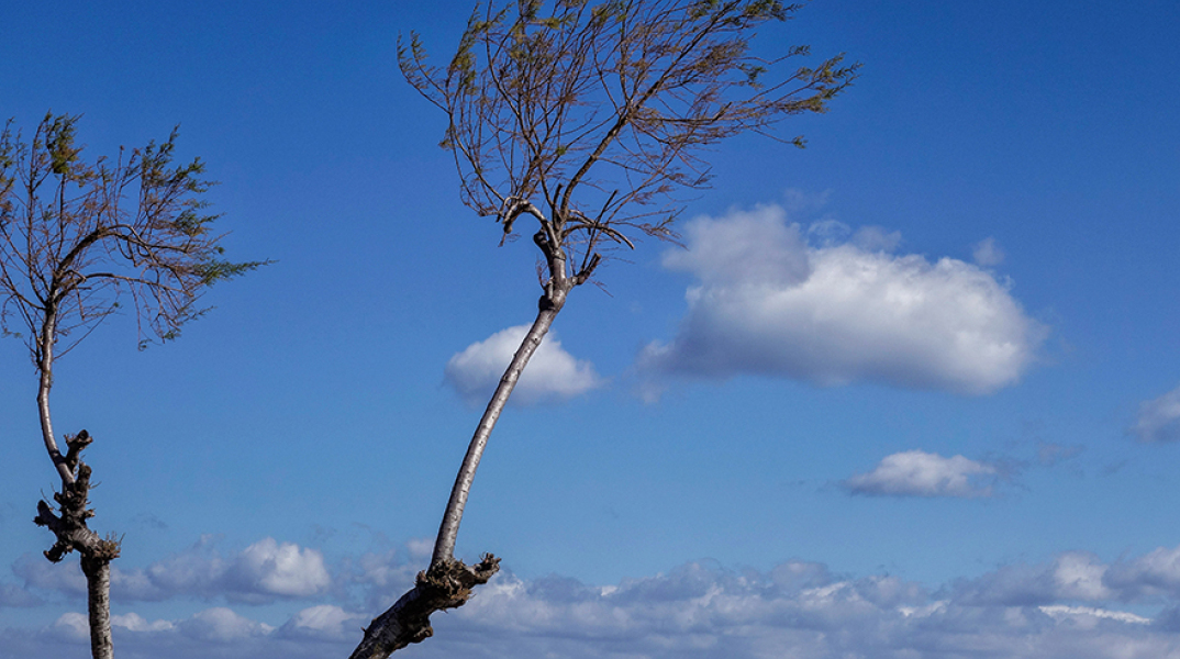 Παραλία Νέας Μάκρης 