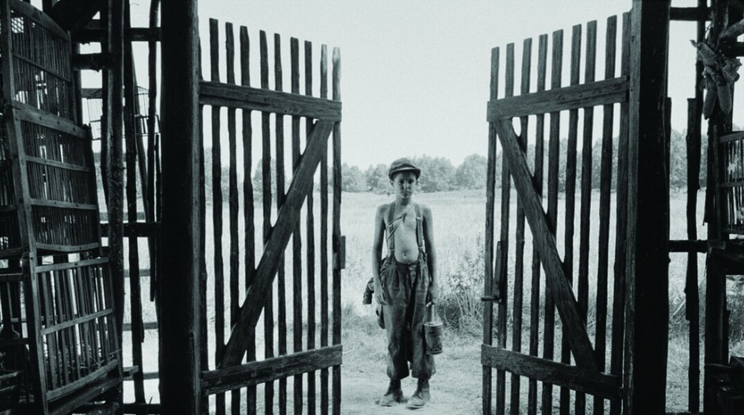 Κριτική της ταινίας «Το βαμμένο πουλί»