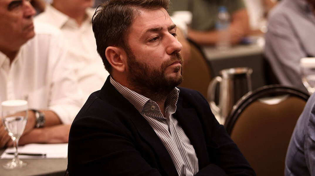 Νίκος Ανδρουλάκης ευρωβουλευτής ΚΙΝΑΛ