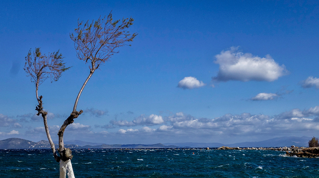 Καιρός, Νέα Μάκρη 