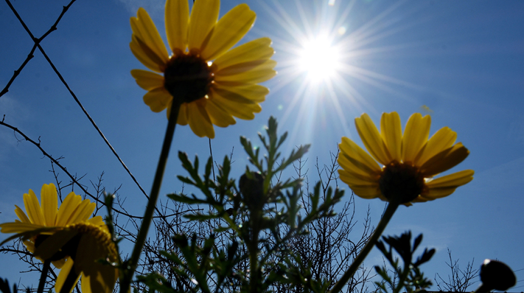 Ηλιοφάνεια