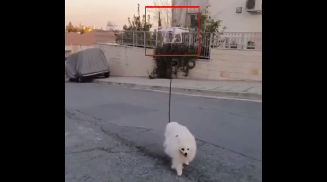 Ισραήλ-Κορωνοϊός: Επιστράτευσε... drone για να βγάλει βόλτα τον σκύλο