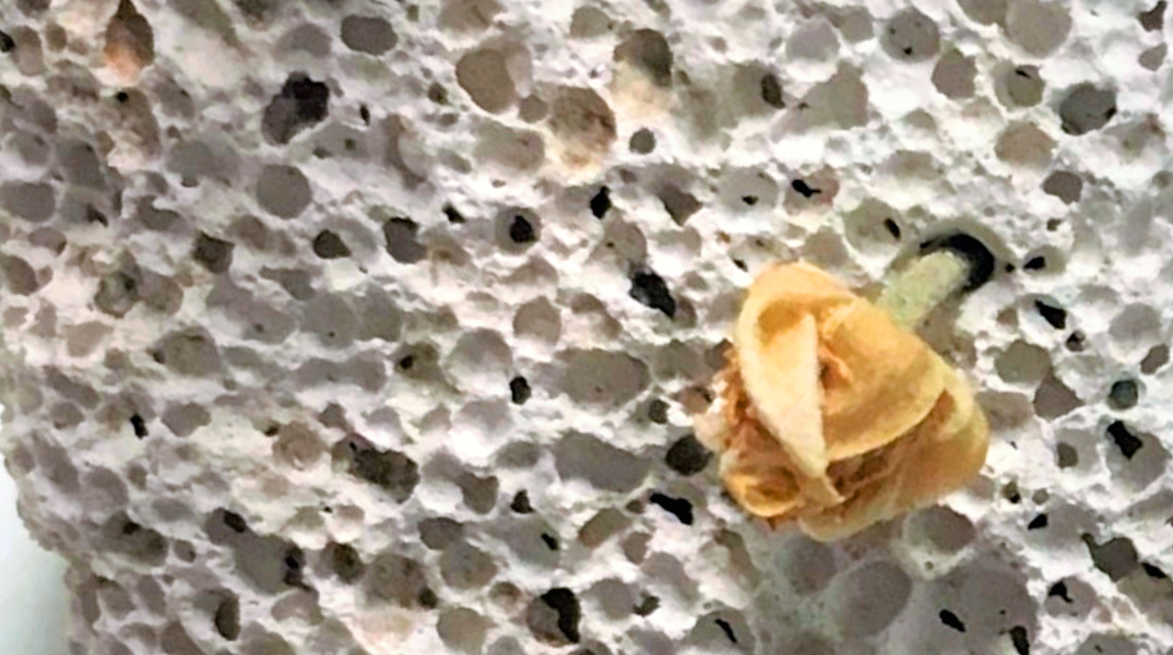 Η Μίκα Σύμπουρα γράφει ιστορίες με διαφορετικό τέλος.