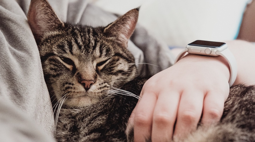 Πλησιάζει η στιγμή που θα πρέπει να προχωρήσουμε μια ώρα μπροστά τους δείκτες των ρολογιών μας, καθώς θα τεθεί σε εφαρμογή η θερινή ώρα.
