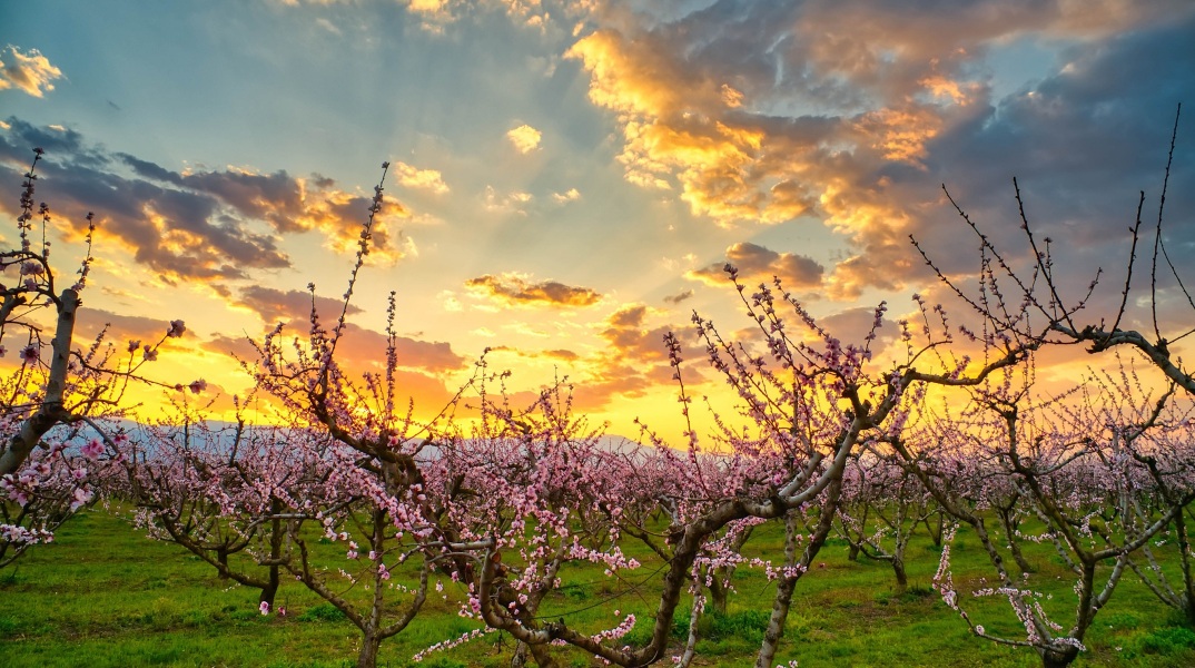 Αναλυτικά η πρόγνωση του καιρού για το Σάββατο, 21-03-2020