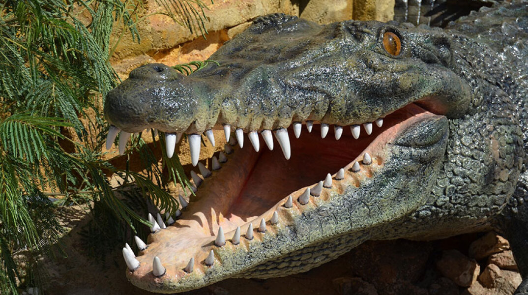 Κροκόδειλος