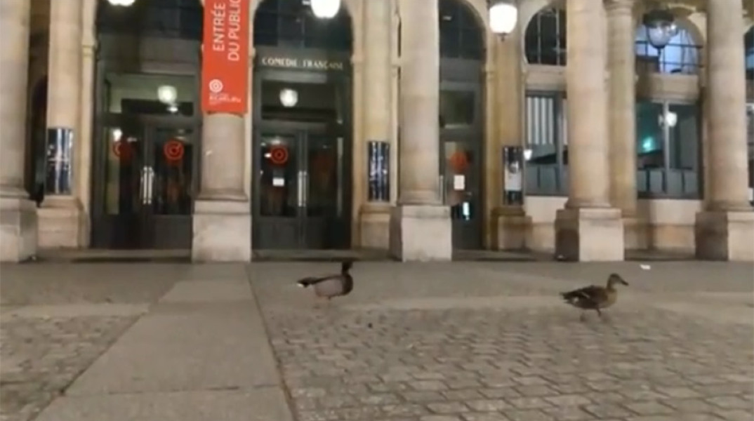 Πάπιες στους άδειους δρόμους του Παρισιού 