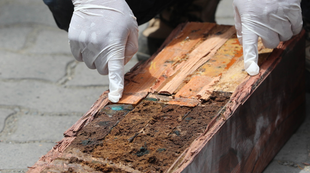 Ρεκόρ αφίξεων κοκαΐνης στο Βέλγιο, λόγω κορωνοϊού 