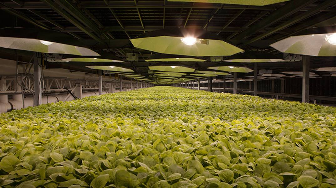 Ανάπτυξη πιθανού εμβολίου για τον κορωνοϊό