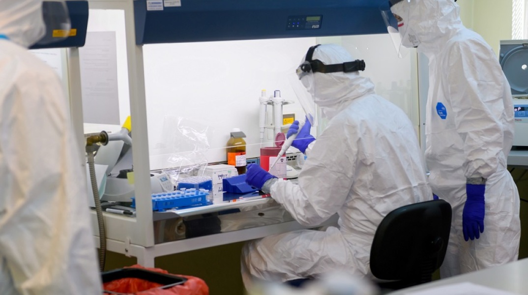 Κορονοϊός: Βρέθηκαν αντισώματα που μπλοκάρουν τη λοίμωξη