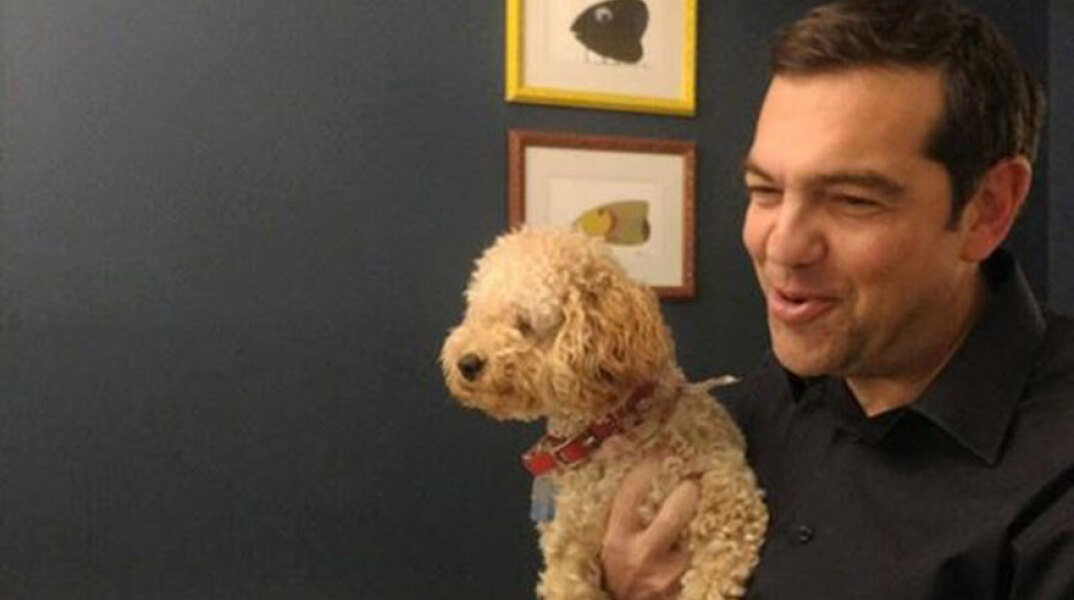 Αλέξης Τσίπρας