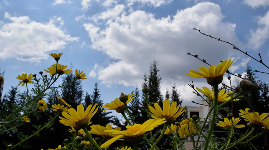 Πρόγνωση καιρού
