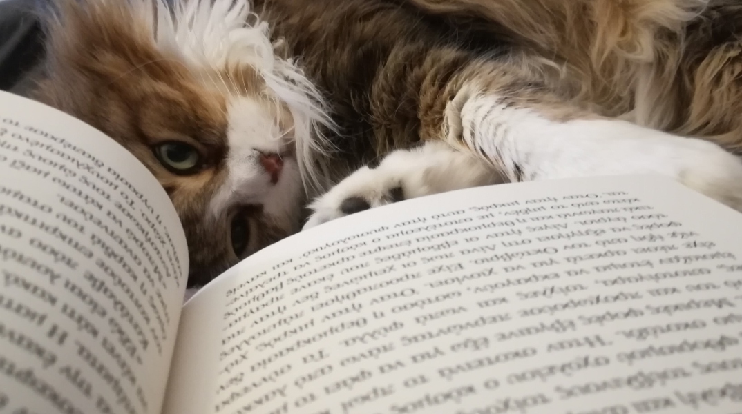 #menoumespiti με την Athens Voice: Η Rights Manager των εκδόσεων Διόπτρα, Γλυκερία Δημητροπούλου, περιγράφει μία μέρα στο σπίτι, εν μέσω πανδημίας κορωνοϊού