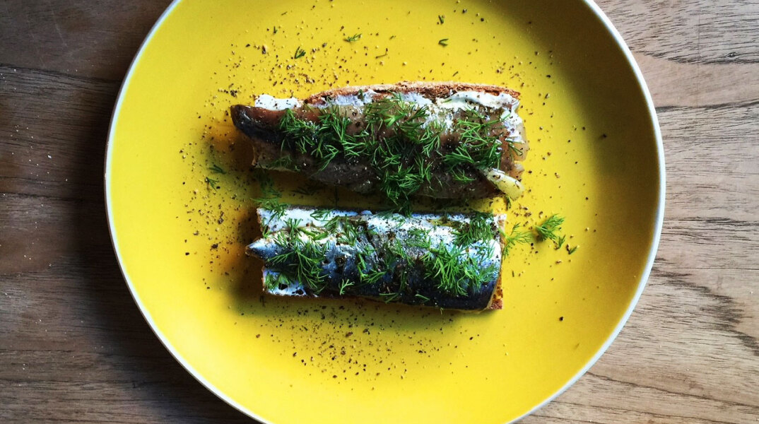 Γαύρος με δύο τρόπους