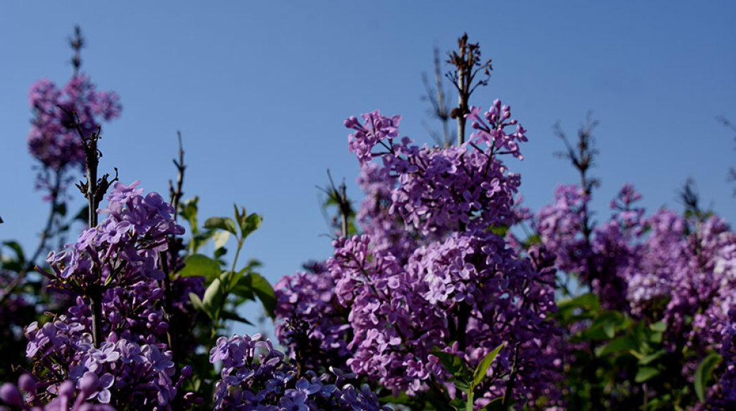 Ανοιξιάτικος καιρός
