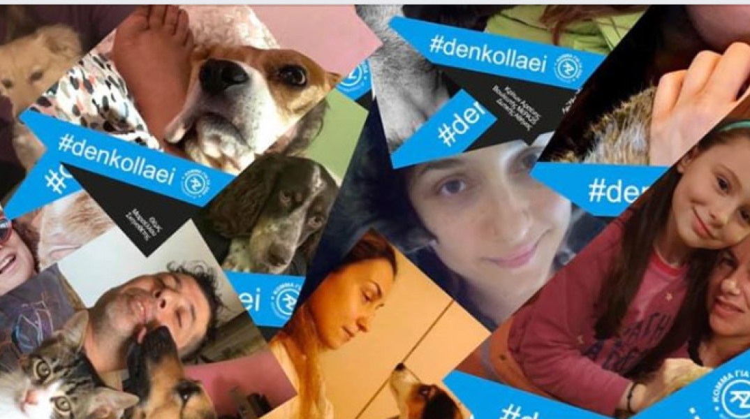 #denkollaei: Κόμμα για την προστασία των ζώων εν μέσω κορωνοϊού