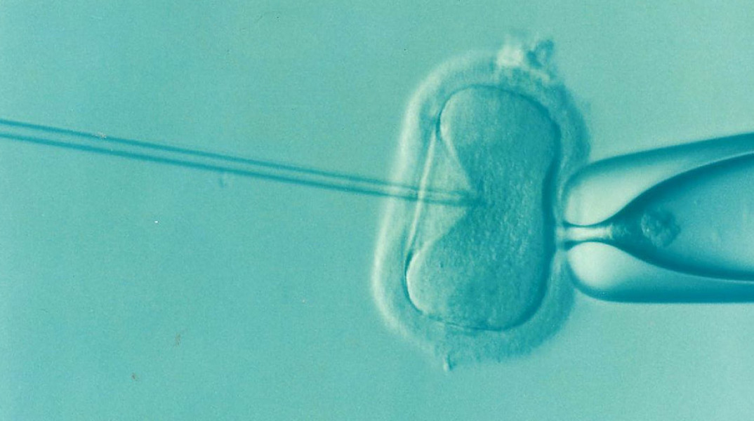 Κορωνοϊός και εξωσωματική