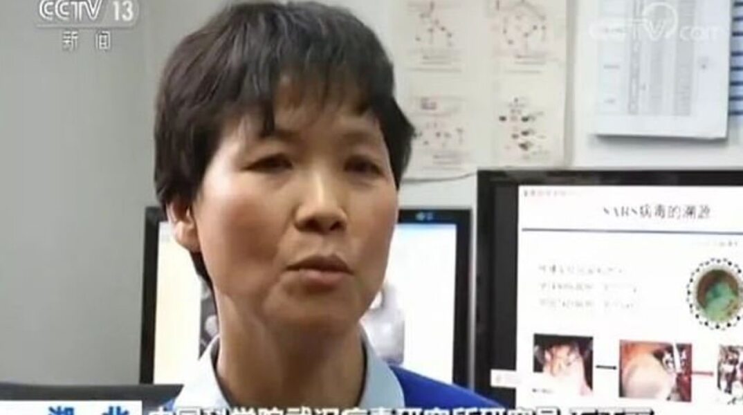 Shi Zhengli - «Batwoman»