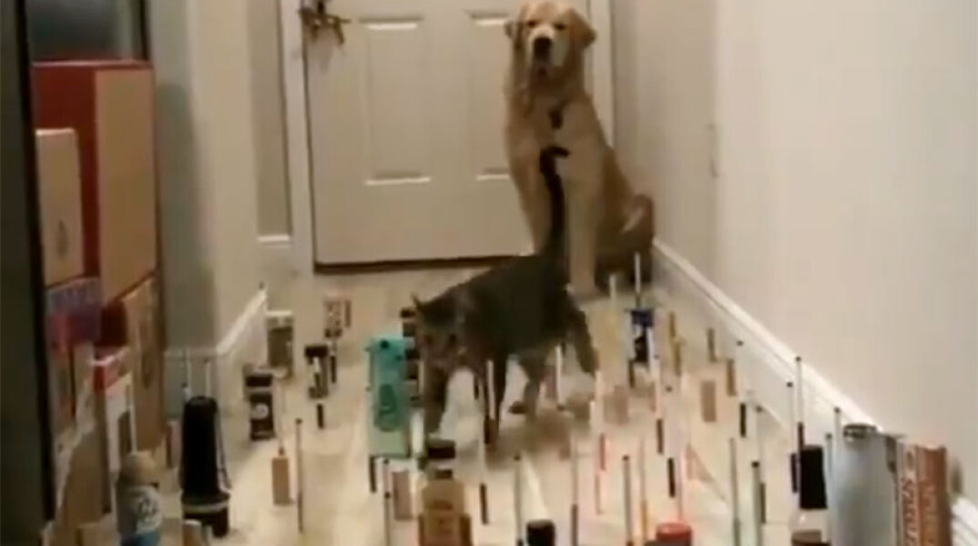 παιχνίδια καραντίνας